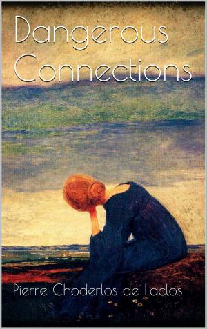 Cover of the book Dangerous Connections by Jürgen H. Schmidt