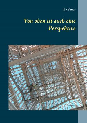 Cover of the book Von oben ist auch eine Perspektive by Merlino Menzel