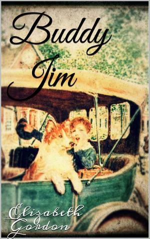 Cover of the book Buddy Jim by Boris Ludz