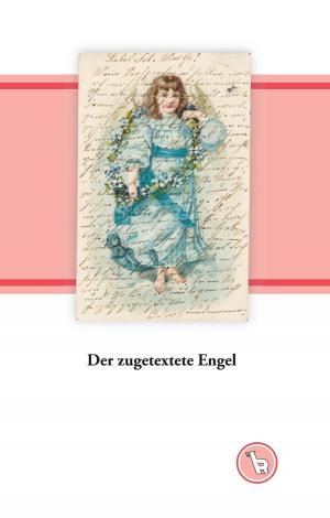 Cover of the book Der zugetextete Engel by Evelyne Zuber