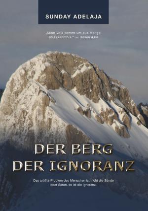 Cover of the book Der Berg der Ignoranz by Jörg Becker