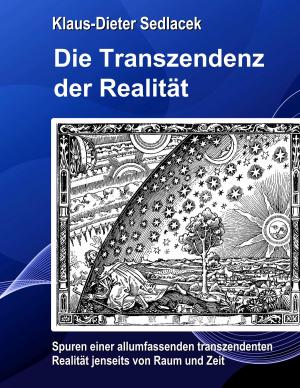 Cover of the book Die Transzendenz der Realität by Stefanie Weinrich