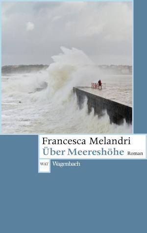 Cover of the book Über Meereshöhe by Tzvetan Todorov