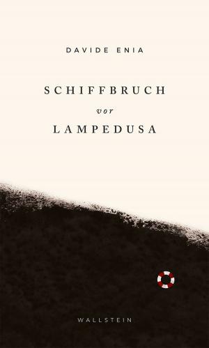 Cover of the book Schiffbruch vor Lampedusa by Navid Kermani