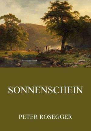 Cover of the book Sonnenschein by Ludwig Ganghofer