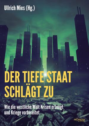 Cover of the book Der Tiefe Staat schlägt zu by Matthias Martin Becker