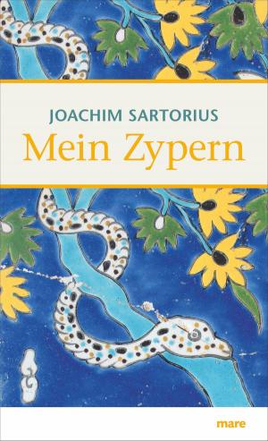 Cover of the book Mein Zypern by Frido Mann