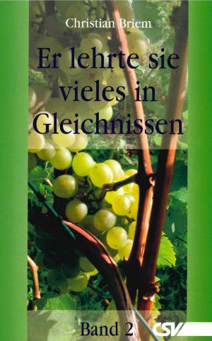 Cover of the book Er lehrte sie vieles in Gleichnissen by Christian Briem