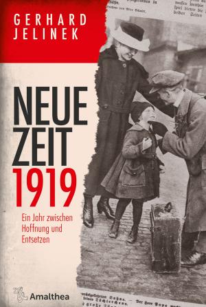 Book cover of Neue Zeit 1919
