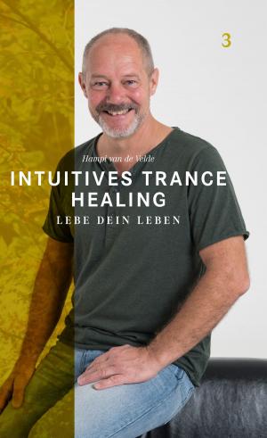 Cover of the book Intuitives Trance Healing by Blair Robertson