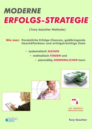 Cover of the book Moderne Erfolgsstrategie by Benedikt Maurer