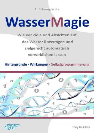 Cover of the book Einführung in die Wassermagie by Tony Gaschler