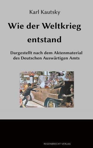 Book cover of Wie der Weltkrieg entstand