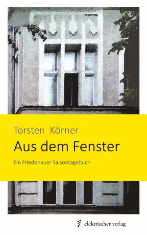 Cover of Aus dem Fenster