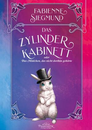 Cover of the book Das Zylinderkabinett oder das Mädchen, das nicht dorthin gehörte by Mia Faber