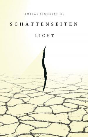 Cover of the book Schattenseiten Band 1 - Licht by Lee Atterbury