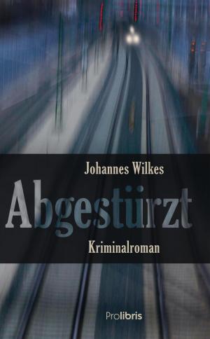 Cover of the book Abgestürzt by Joel Mentmore