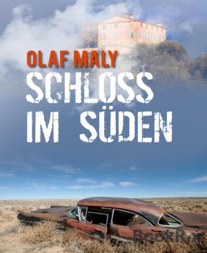 Book cover of Schloss im Süden