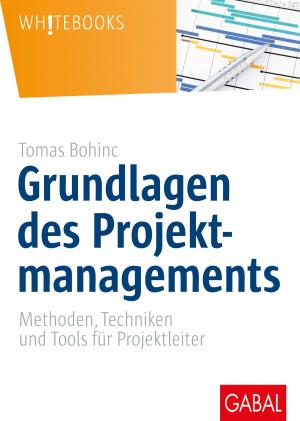 Cover of the book Grundlagen des Projektmanagements by Josef W. Seifert
