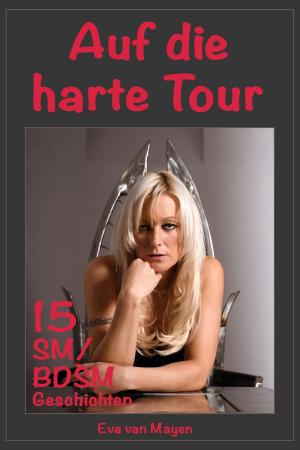 Cover of the book Auf die harte Tour * 15 SM/BDSM-Geschichten by Jule Richter