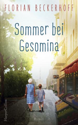 Cover of the book Sommer bei Gesomina by Erin Hunter