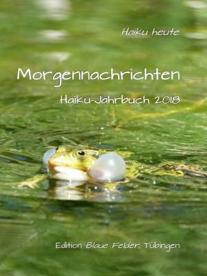 Cover of the book Morgennachrichten by Ethan Lesley