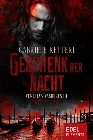 Cover of the book Geschenk der Nacht by Hannes Wertheim