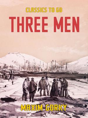 Cover of the book Three Men by Karl May