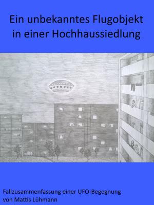 bigCover of the book Ein unbekanntes Flugobjekt in einer Hochhaussiedlung by 
