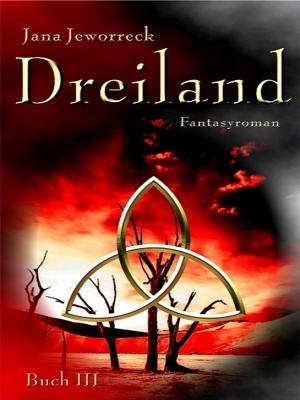 Cover of the book Dreiland III by Brian J. Rogers