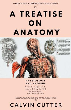 Cover of the book A Treatise on Anatomy by Maurice Baring