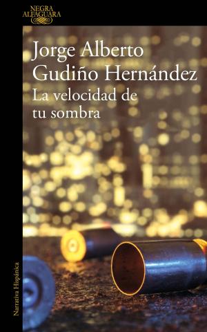 Cover of the book La velocidad de tu sombra by Martha Alicia Chávez