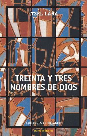 Cover of the book Treinta y tres nombres de Dios by David Olguín