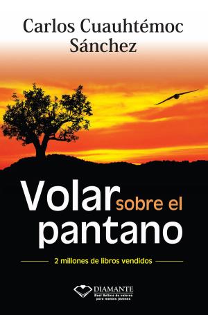 Cover of the book Volar sobre el pantano by Allan G. Hunter