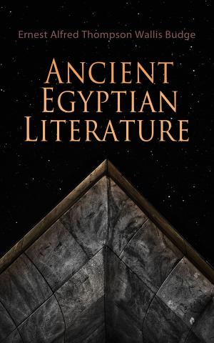 Cover of the book Ancient Egyptian Literature by Franz Treller