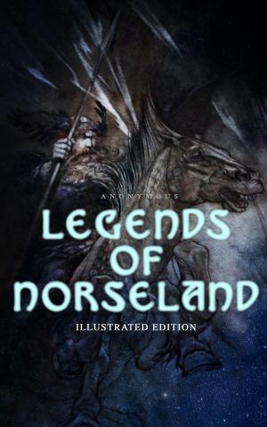 bigCover of the book Legends of Norseland (Illustrated Edition) by 