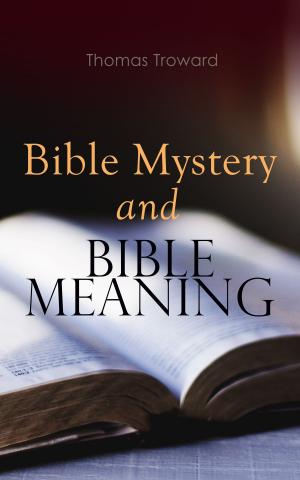 Cover of the book Bible Mystery and Bible Meaning by Edith Stein