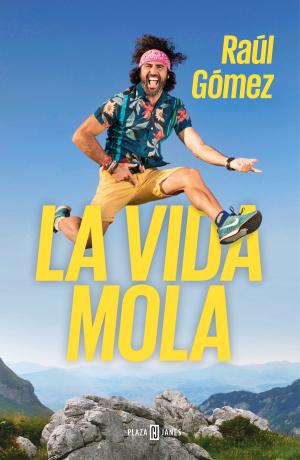 Cover of the book La vida mola by Ronny Herman de Jong