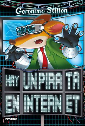 Cover of the book Hay un pirata en internet by Miguel Wiñazki, Nicolás Wiñazki