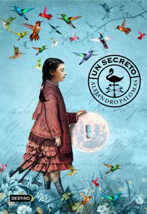 Cover of the book Un secreto by Accerto