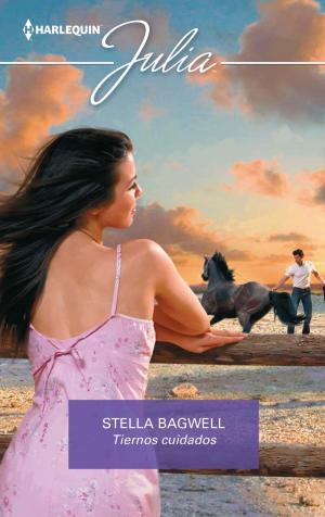 Cover of the book Tiernos cuidados by B.J. Daniels