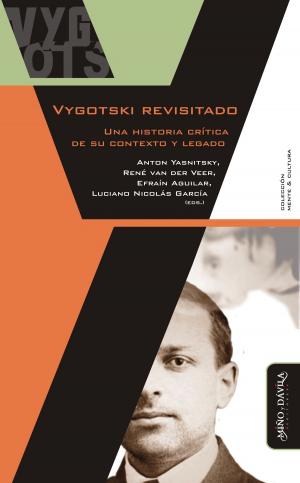 Book cover of Vygotski revisitado