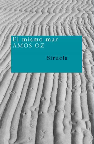 Cover of the book El mismo mar by Jordi Sierra i Fabra