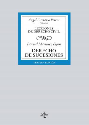 Cover of the book Derecho de sucesiones by Efrén Borrajo Dacruz