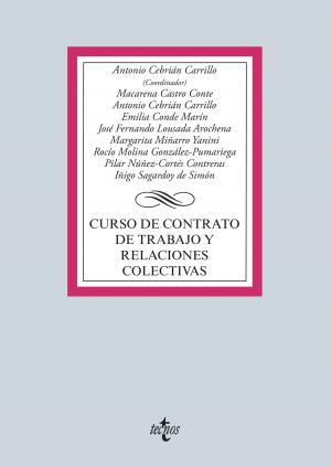 Book cover of Curso de contrato de trabajo y relaciones colectivas