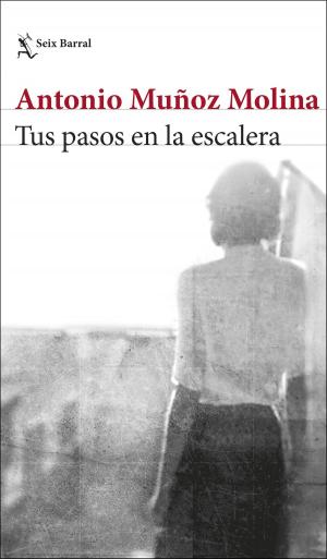 Cover of the book Tus pasos en la escalera by Loles Lopez