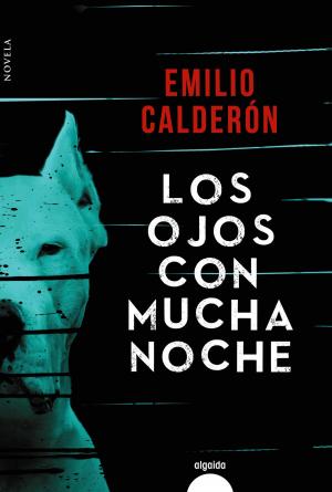 Cover of the book Los ojos con mucha noche by Diego Martínez Torrón