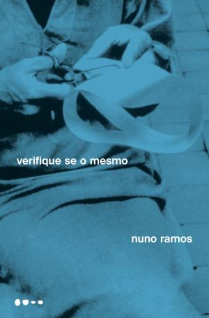 Cover of the book Verifique se o mesmo by Lucrecia Zappi