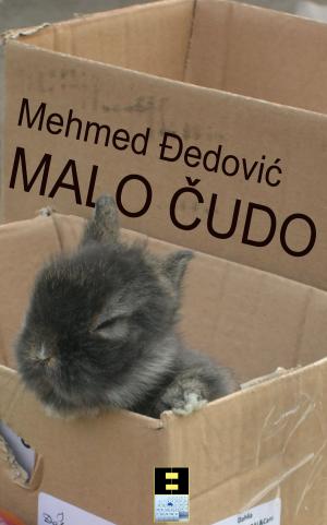 bigCover of the book Malo čudo by 