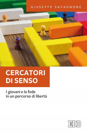 Cover of the book Cercatori di senso by Michael Van Vlymen